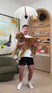 Holding Bigger And Bigger Dogs