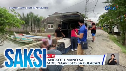 2 lalaking sangkot umano sa dog meat trade, naaresto sa Bulacan | Saksi