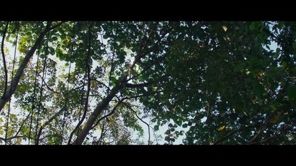 Kishkindha Kaandam Bande-annonce VO: Epic Adventure Unveiled! 🌟