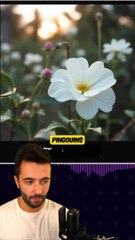 PINGOUINS et OURS POLAIRES ??  #kreaai #flux #imageia #freeai #iagratuite