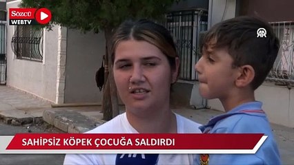 Sahipsiz köpeğin çocuğa saldırması güvenlik kamerasınca kaydedildi