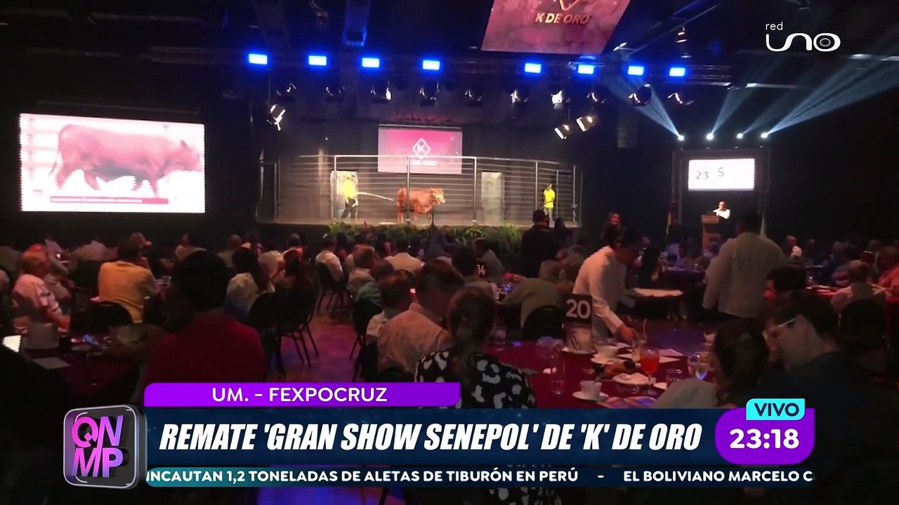 REMATE `K`DE ORO