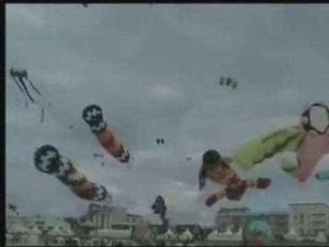 Berck sur Plage cerf-volant