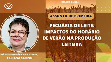 Pecuária de leite: impactos do horário de verão na produção leiteira