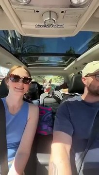 I Took My Cat to the Beach #Cats #Pets #Travel