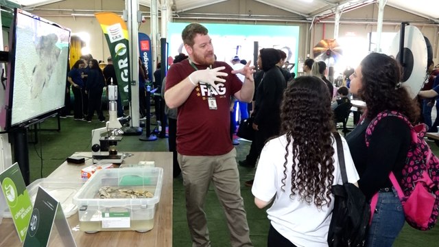 Mais de 5 mil visitantes devem passar pela feira das profissões que é realizada em Cascavel Evento iniciou nesta quinta-feira (19) e vai até sexta-feira (20)