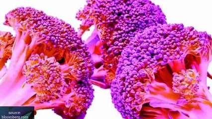 20 Interesting Facts About the World You Didn't KNOW! (updated 2023)