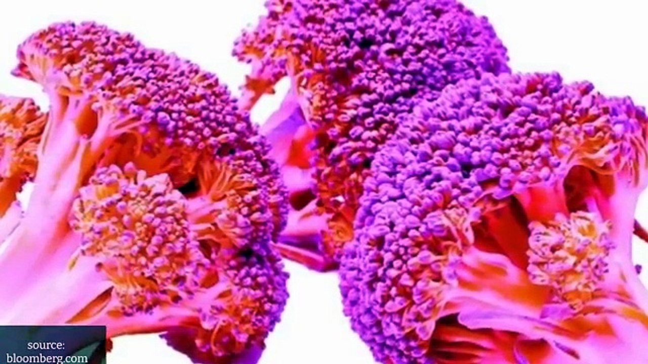 20 Interesting Facts About the World You Didn't KNOW! (updated 2023)