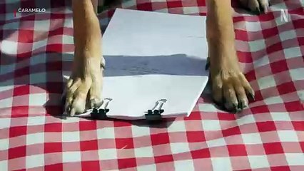 ¡Descubre el Nuevo Caramelo! 🎥 Teaser Oficial Revela Sorprendentes Detalles