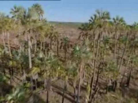 Le temps des Monstres (1/3)