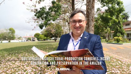Sustainable agricultural production combines income generation and preservation in the Amazon