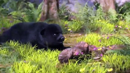 Pequeña osa - Tráiler