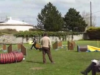 Jumping 2ème degré