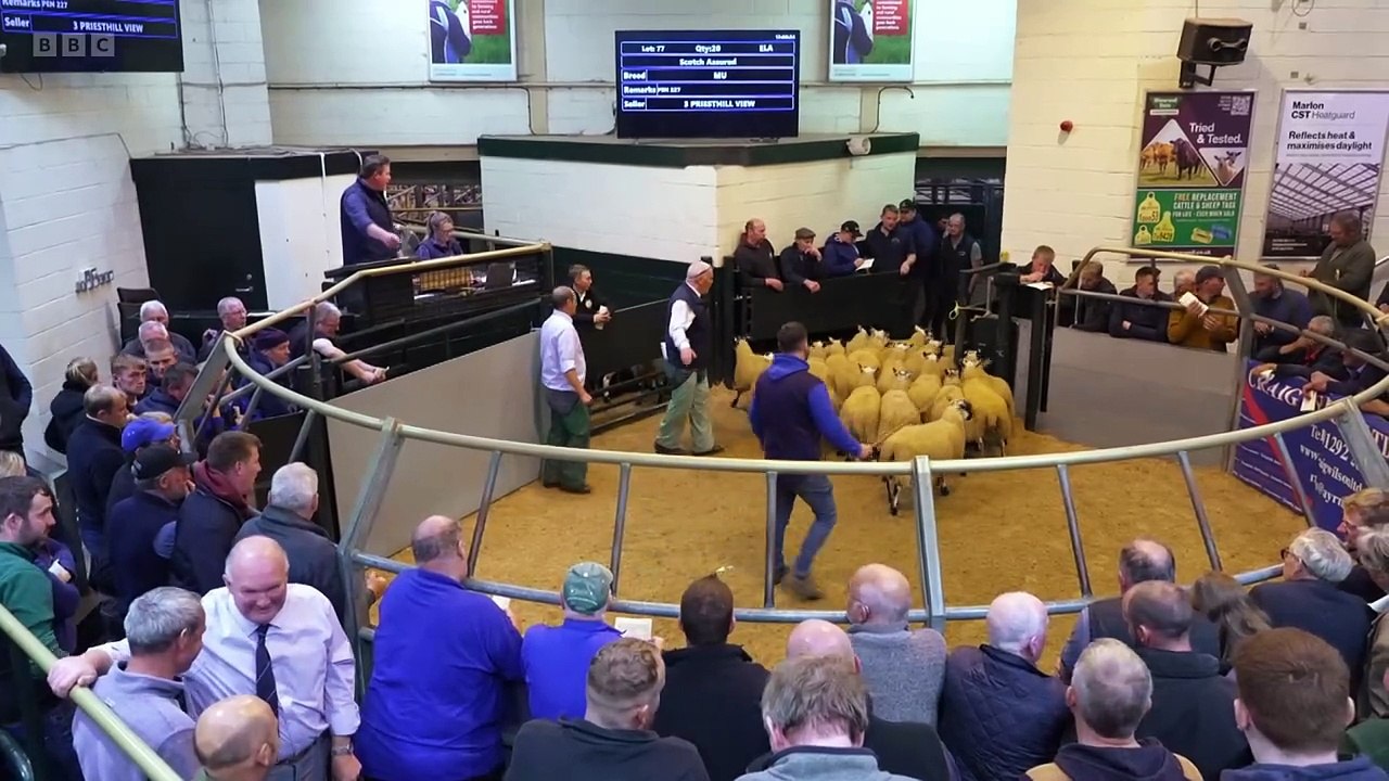 Landward episode 14 2024