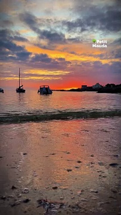 Un instant magique à Batz-sur-Mer ✨ Quand le son du piano résonne entre les vagues et les ruelles charmantes de cette petite ville bretonne ️. Située sur la côte sauvage, Batz-sur-Mer offre des paysages à couper le souffle entre falaises, plages et ma