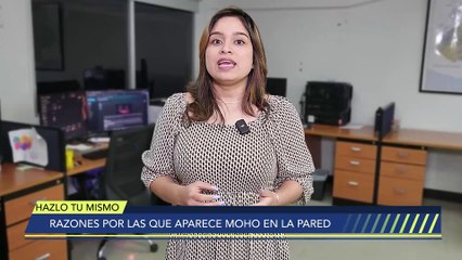 Razones por las que aparece moho en la pared