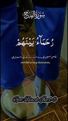 Surat ul Fatah MashaAllah ❤️  #getbackintl #fyp#champions #foryou #foryoupageofficiall #islamic #viral #viralvideo #tiktok www.getbackintl.com#viral