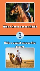 Would You Rather Animals Edition #2