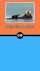 Would You Rather Animals Edition #6