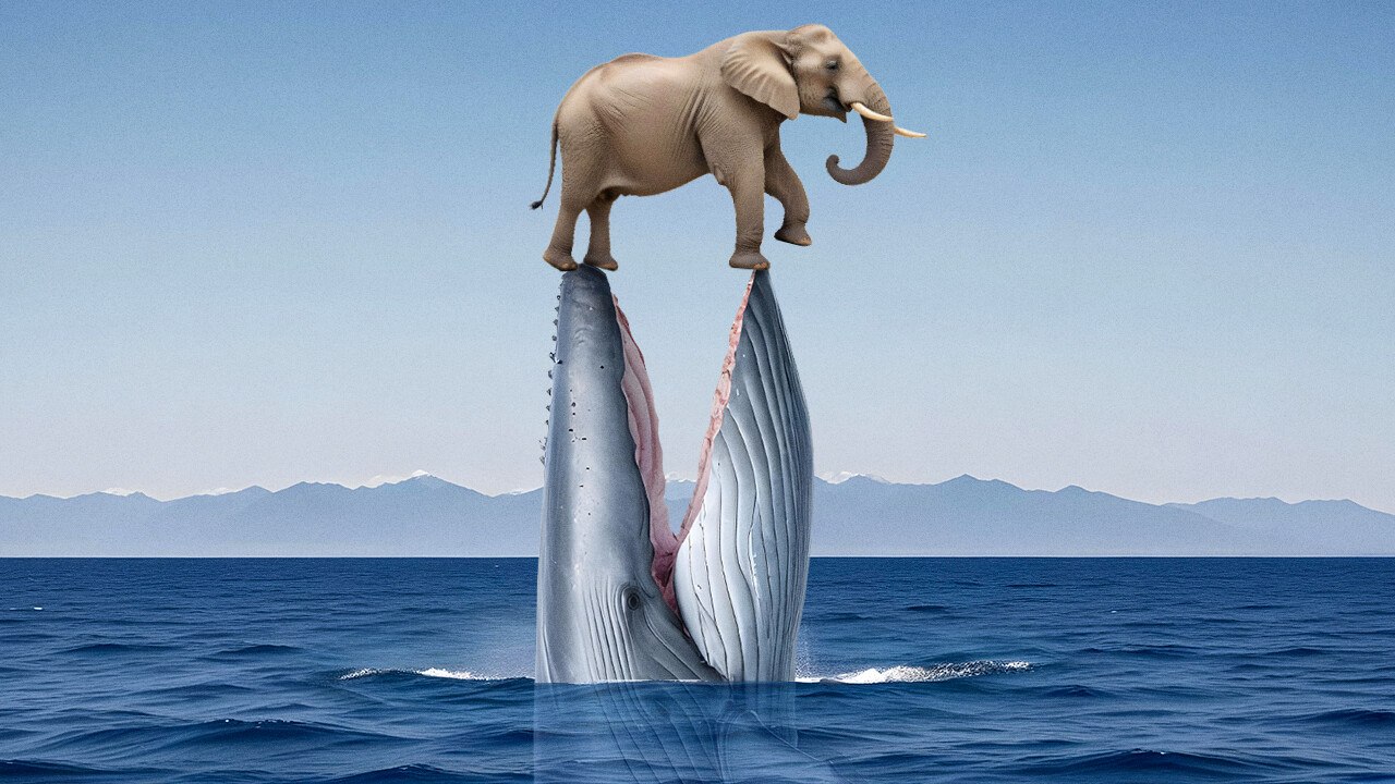 Dive Deep to Discover the Ocean’s Secret Inhabitants video Dailymotion