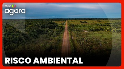 Ambientalista critica falta de ‘projeto robusto’ de conservação em asfaltamento da BR-319