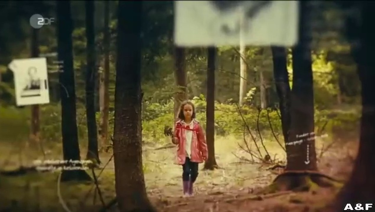 Taunuskrimi -06- Böser Wolf (1)