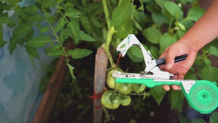 AstUCES créatives pour le jardin ‍