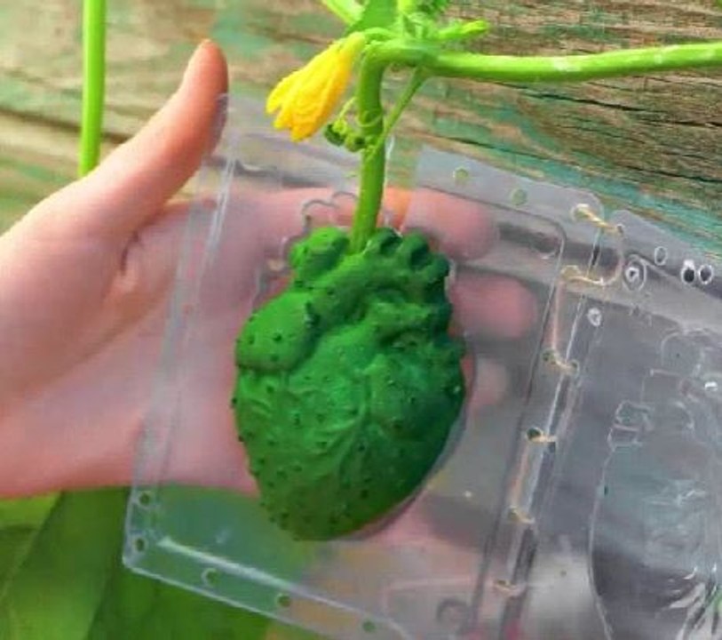 Creative planting hacks to please your inner gardener!