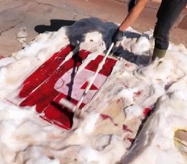 Seriously satisfying old carpet cleaning!