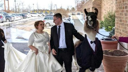 Hombre cobra 550 dólares por arruinar bodas