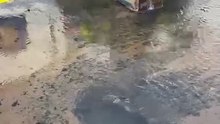 Tremenda fuga de agua en calles de la colonia Mexicaltzingo