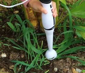 Awesome gardening tips for the most inventive souls!