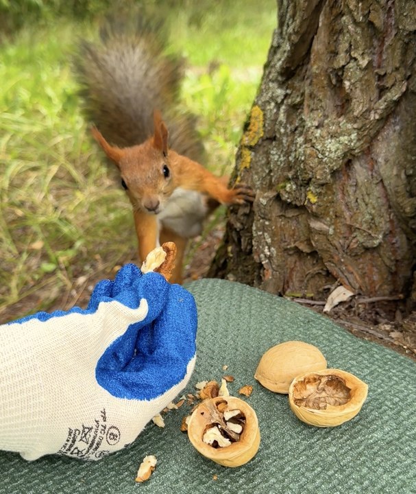 Great hack to know!  #hack #diy #camping