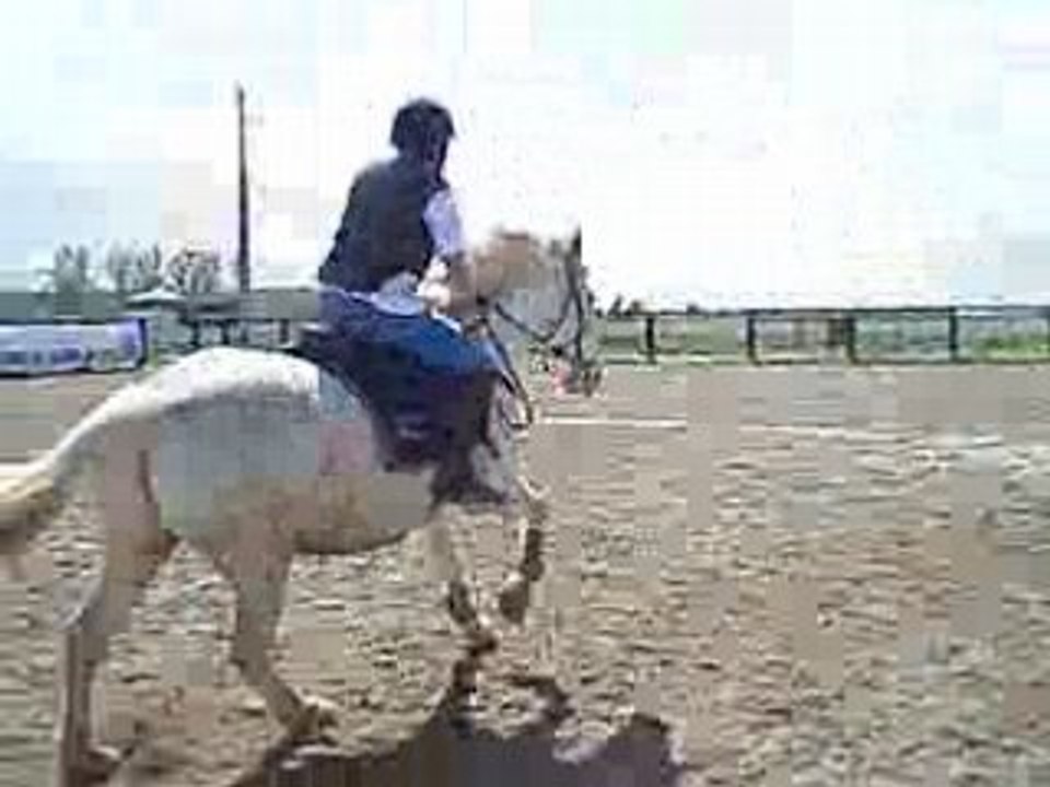 coco et tanka
