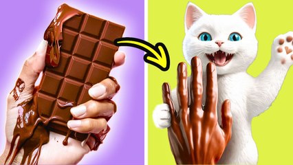 Brico sucré avec un chat drôle ! Histoires de chat étonnantes dans la vie réelle