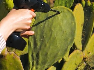 Unique techniques of eco leather creation!