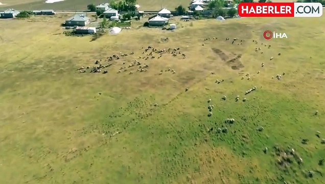 'Kuş Cenneti' Arin Gölü Hayvanların Otlak Alanına Dönüştü