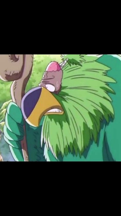One Piece Loro Calvo