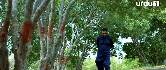 Ahsas _ OST   _ Noman Ejaz _ Sara Khan _ Faisal Qureshi _ Zeba Bakhtiar