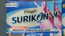 Pabrik Ini Siap Suplai Susu Ikan untuk Program MBG Prabowo