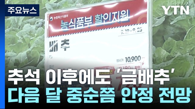 추석 지났는데 여전한 '금배추'...언제까지? / YTN