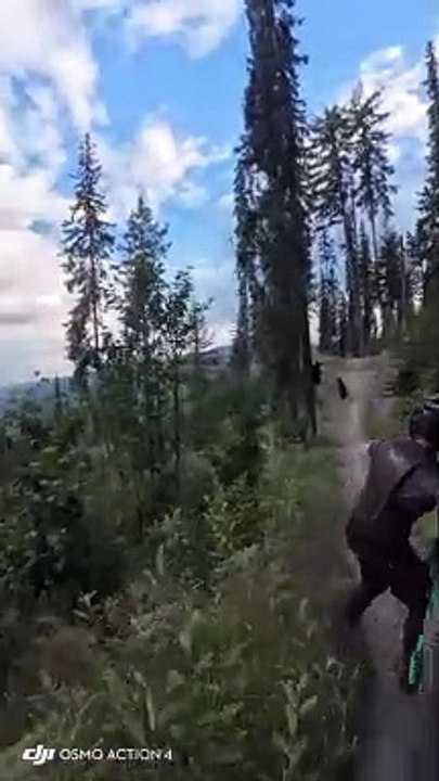 Surprise en VTT