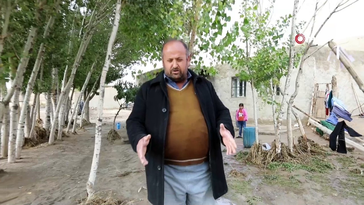Selden son anda kurtuldu