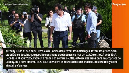 Alain Delon fâché avec une ex : un séjour pourtant paradisiaque a mal tourné... Retour express à Paris !