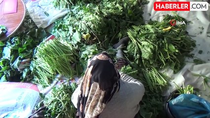 Bayburtlu Kadınların Kışlık Turşu Hazırlıkları Başladı