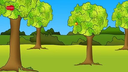 Baby Food   MORE Steve and Maggie English Stories for Kids _ English Speaking with Wow English TV(360P)