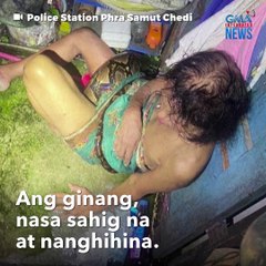 Senior citizen, muntik maging hapunan ng malaking sawa! | GMA Integrated Newsfeed
