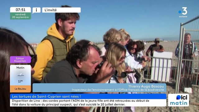 Les petites tortues sont nées sur la plage de St-Cyprien !