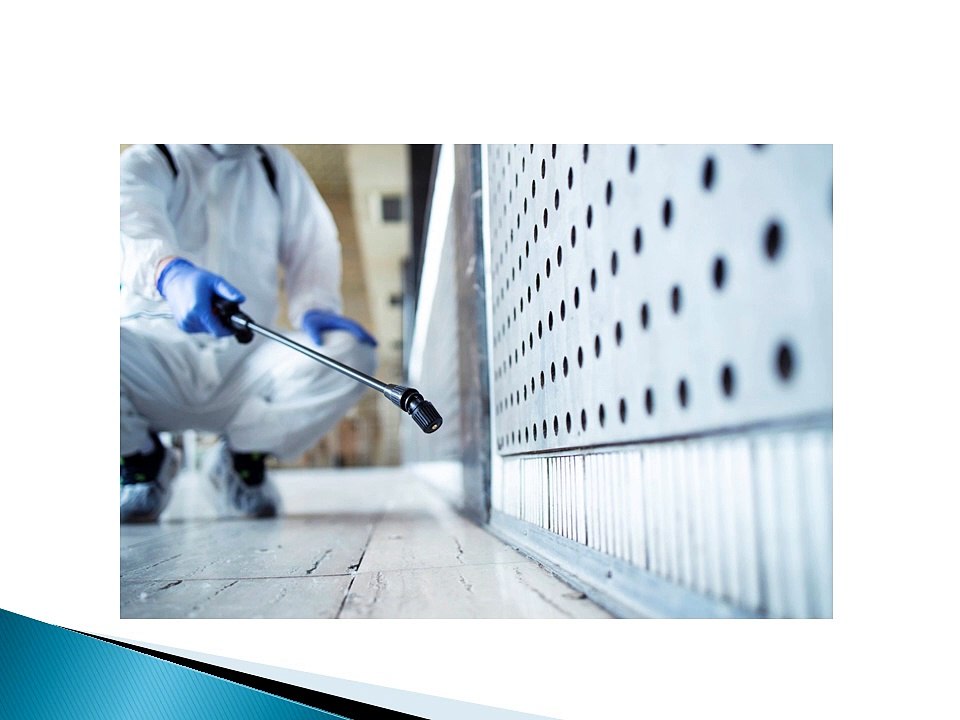 Pest Control Parramatta and Inner West Get Rid of Pests with Professional Solutions