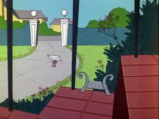 Tom And Jerry - 142 - The Cat's Me Ouch (1965)